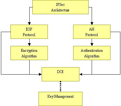 图 2 － 5 IPsec：IP 层协议安全结构